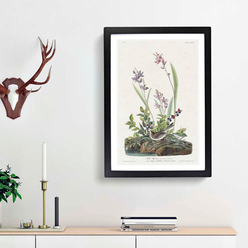 Field Sparrow by John Audubon - Picture Frame Graphic Art Print, Black Framed, 65cm H x 48cm W x 2cm D