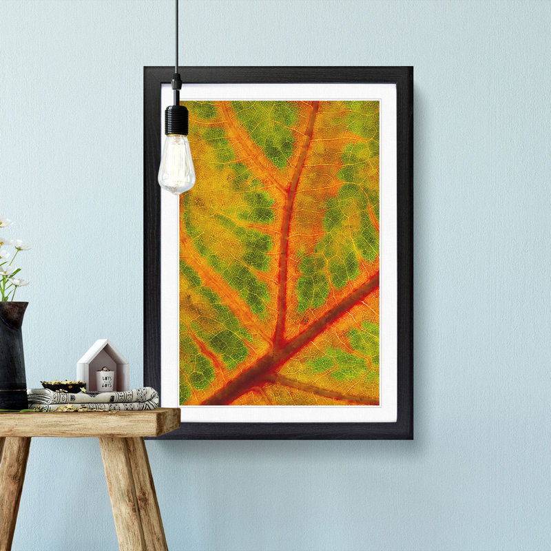 Map of a Leaf - Picture Frame Painting Print, 87cm H x 62cm W x 2cm D, Black Framed