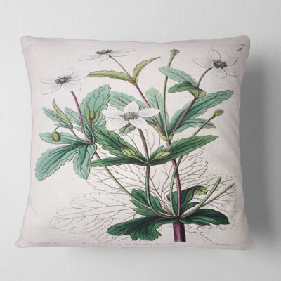 Vintage Plant Life XXI - Traditional Printed Pillow