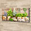 Herbs On Canvas A String - No Frame Print on Canvas