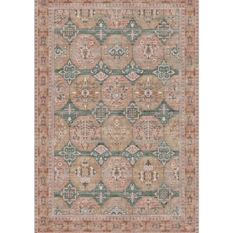 Indoor&Outdoor Washable Printed Carpet Area Rug Non-sliping Backing