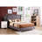 Ashe Upholstered Low Profile Standard Bed-484046630-461307391