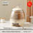 Edora Food Storage Container-435042449