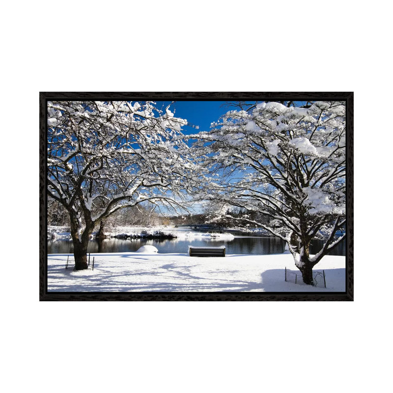 Snow Covered Trees, Winter Scenic, South Branch Of Raritan River, Clinton, New Jersey by George Oze - Gallery-Wrapped Canvas Giclée on Canvas