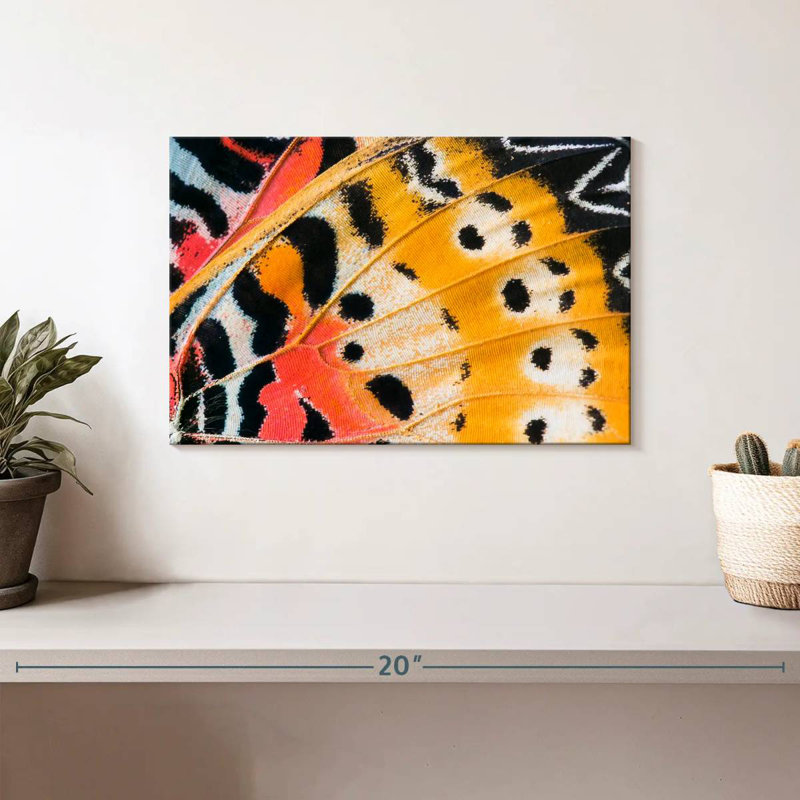 Brampt Butterfly Wing, 8" H x 12" W