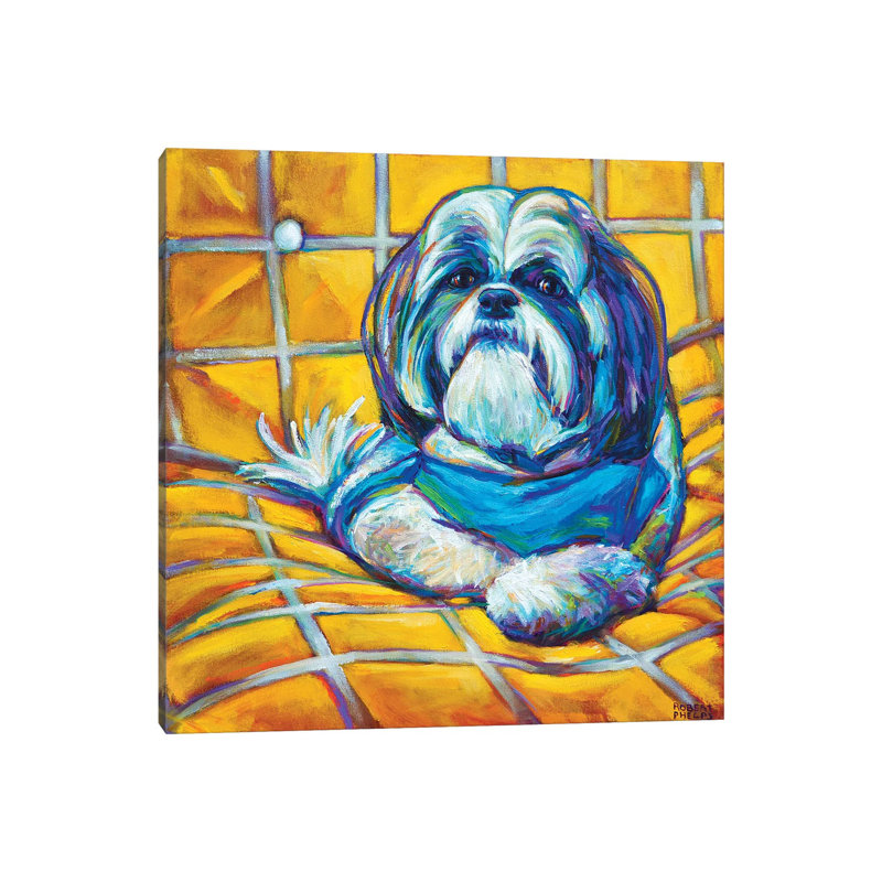Shih Tzu by Robert Phelps - Print on Canvas, Wrapped Canvas, 45.72 cm H x 45.72 cm W x 1.91 cm D