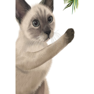 Chat siamois et babiole