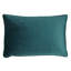 Midnight Garden Floral Velvet Piped Cushion Cover-61482637