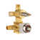 All-In-One Kit with Rough in-Valve