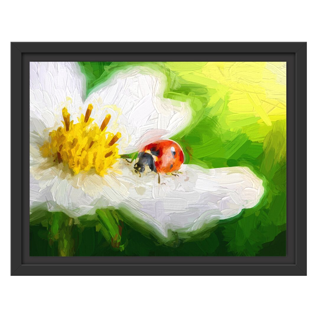 Gerahmter Fotodruck Ladybird auf einer Blume