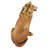 King of Beasts Lion Statue