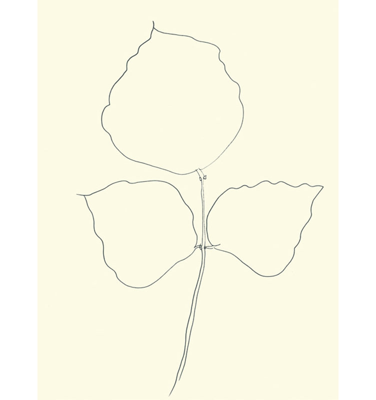 Fueille D'arbre-Coraile, 1987, H 24 po x l 18 po