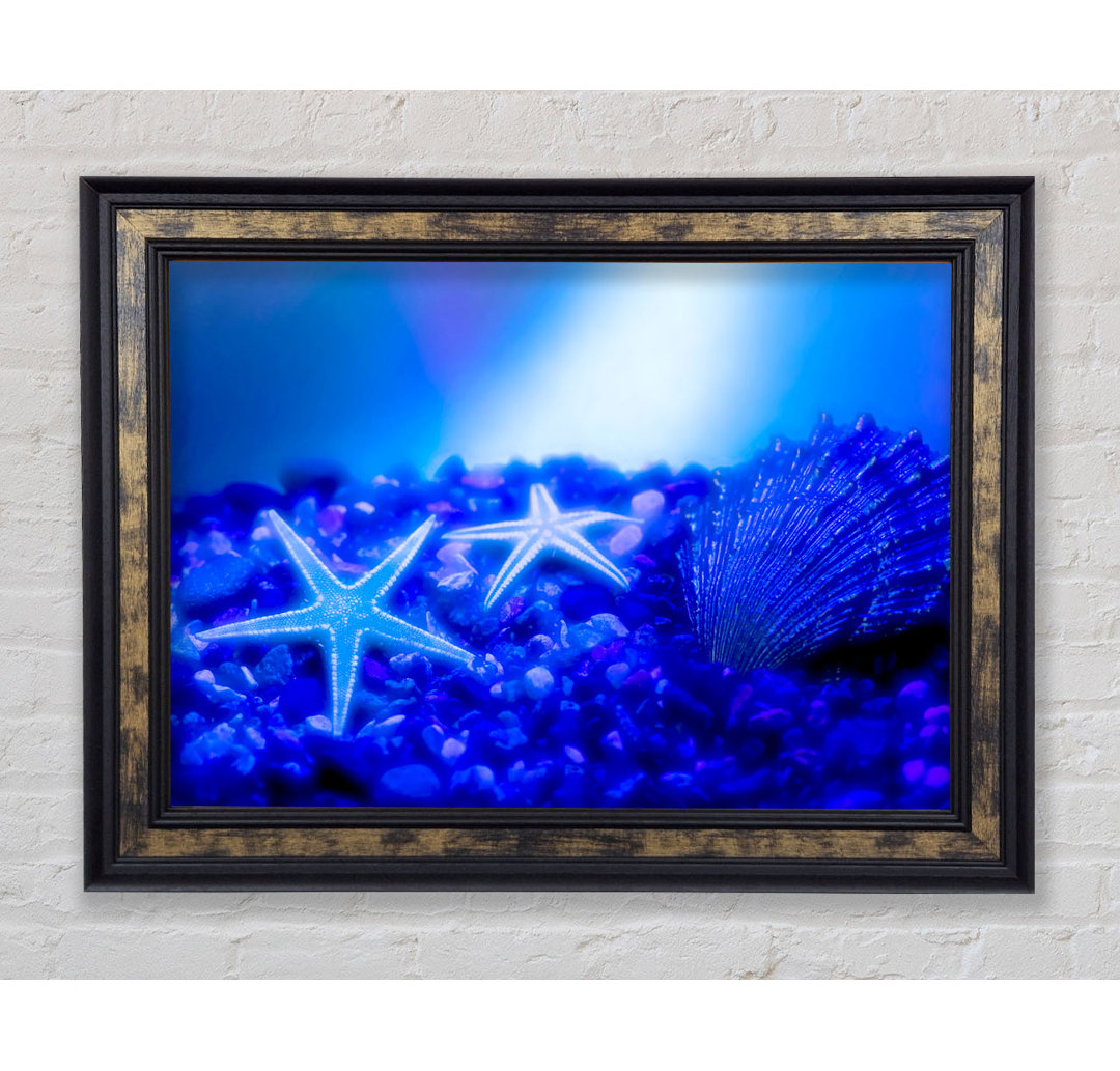 Gerahmtes Leinwandbild Stunning Blue Starfish