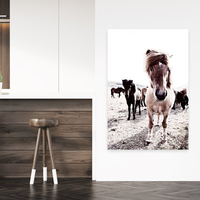 Islande, cheval, Rikka, art contemporain cheval