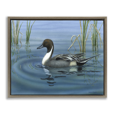  «Pintail Loon in Pond Floater», art mural sur toile par Valerie Rogers