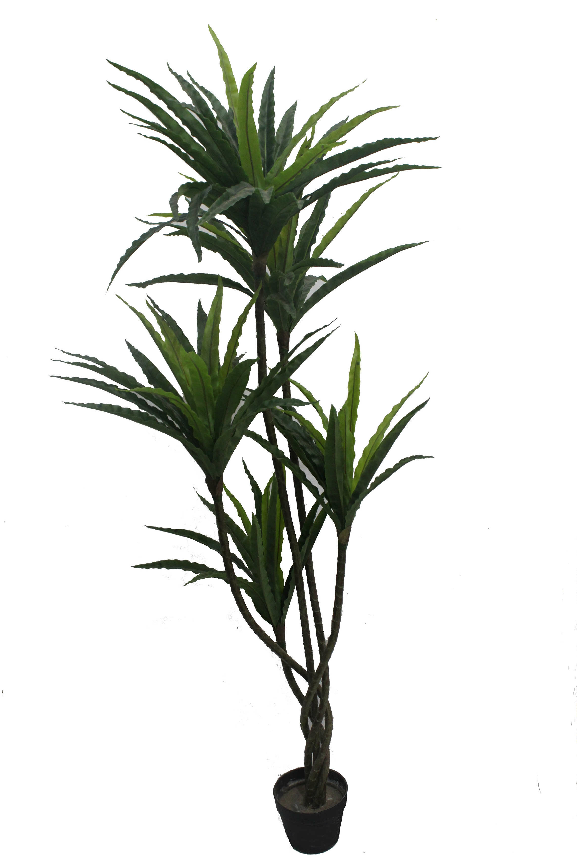 Bayou Breeze 78'' Faux Palm Tree in Ceramic Pot & Reviews | Wayfair