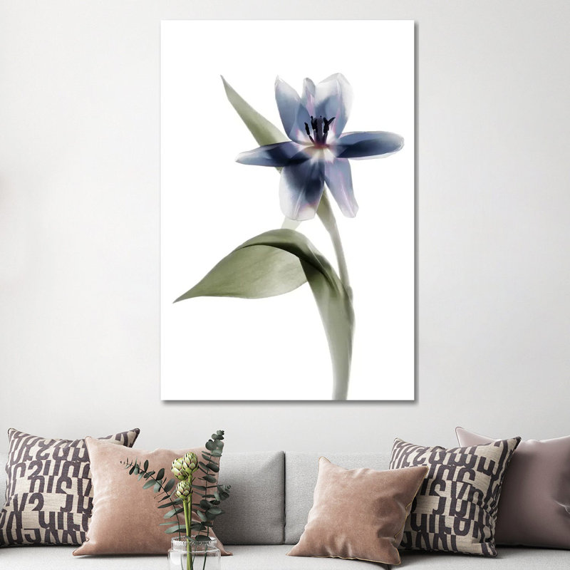 X-Ray Tulip VII by Judy Stalus - Wrapped Canvas Print, 152.5 cm H x 101.5 cm W