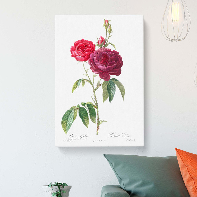 French Purple Roses by Pierre-Joseph Redoute - Wrapped Canvas, 50cm H x 35cm W x 3cm D