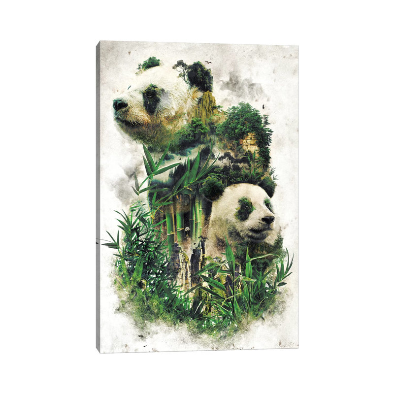 Surreal Panda by Barrett Biggers - Wrapped Canvas Print, 20.32 cm H x 30.48 cm W