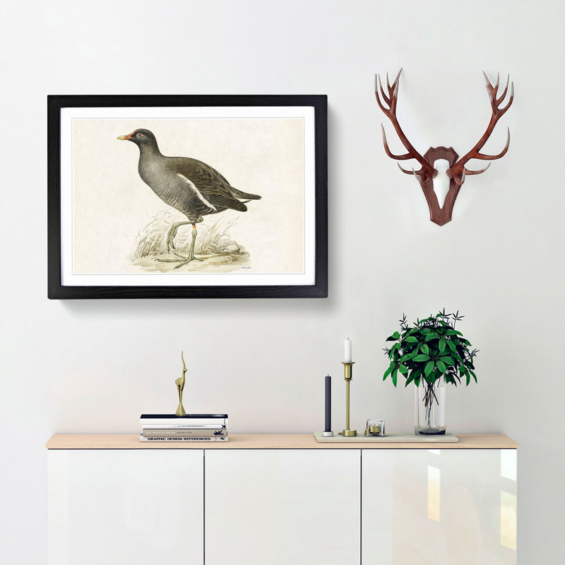 Common Moorhen by Von Wright - Picture Frame Painting Print, Black Framed, 48cm H x 65cm W x 2cm D