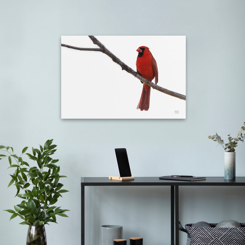 Cardinal contemporain sur le Mississippi, H 24 po x l 16 po