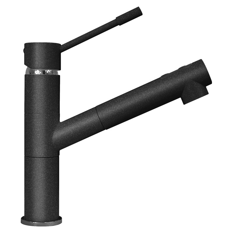 Robinet pulvérisateur de cuisine à poignée simple Elba, Noir métallique