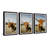 Sweeping Horns - 3 Piece Single Picture Frame Print Set-266502577