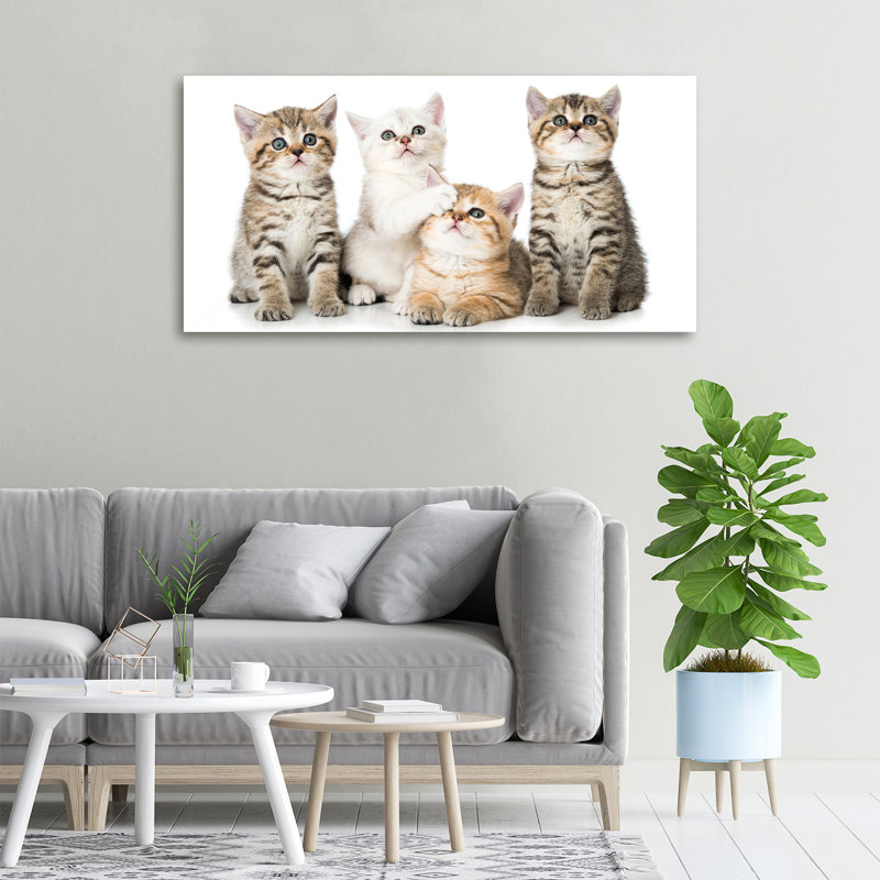 Small Cats - Wrapped Canvas Print