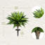Plante grasse artificielle insérée au sol-305410915-310408672