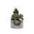 9.5'' Faux Succulent in Pot