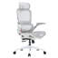 Office Chair with Headrest