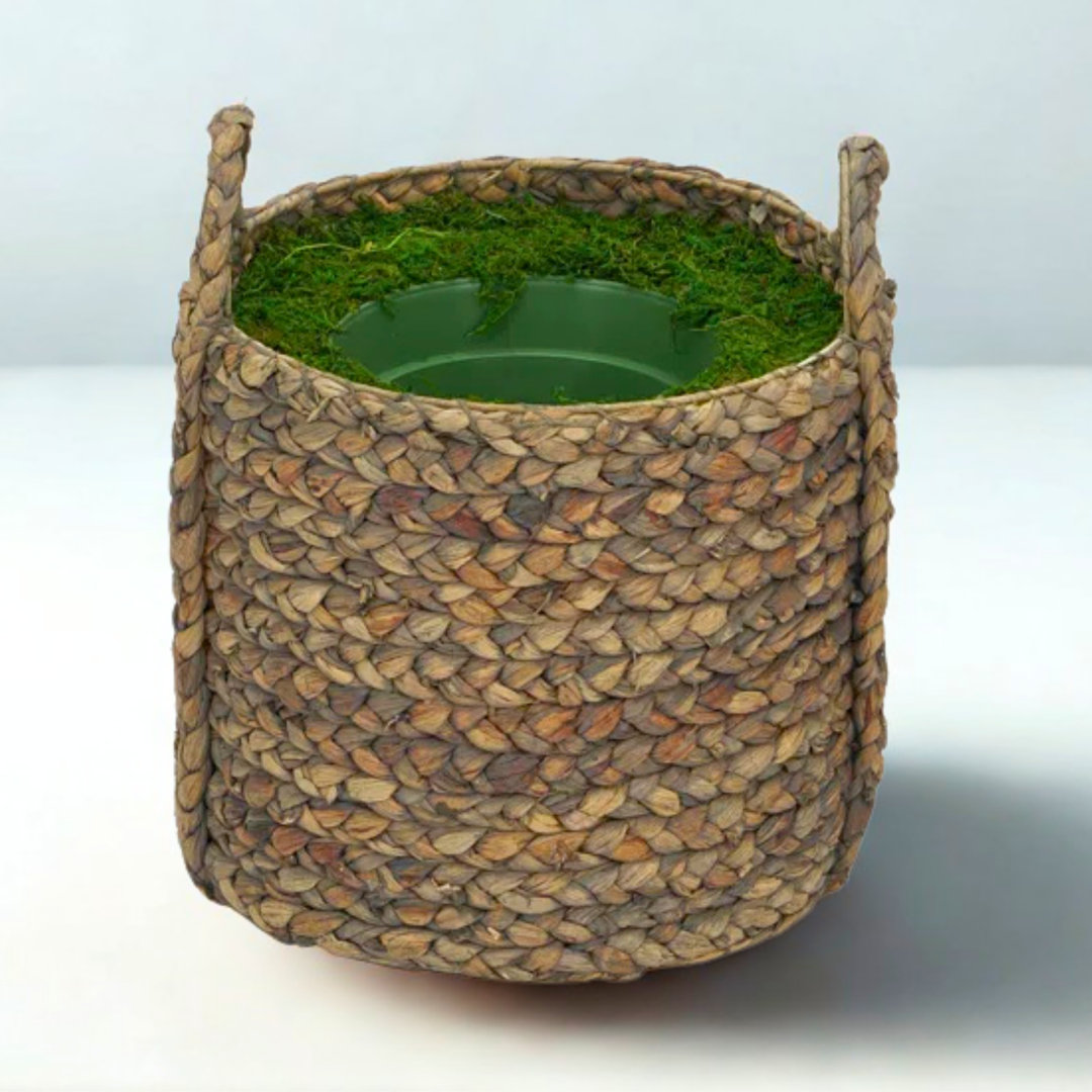 Brumfield Rattan Pot Planter Bay Isle Home™ 