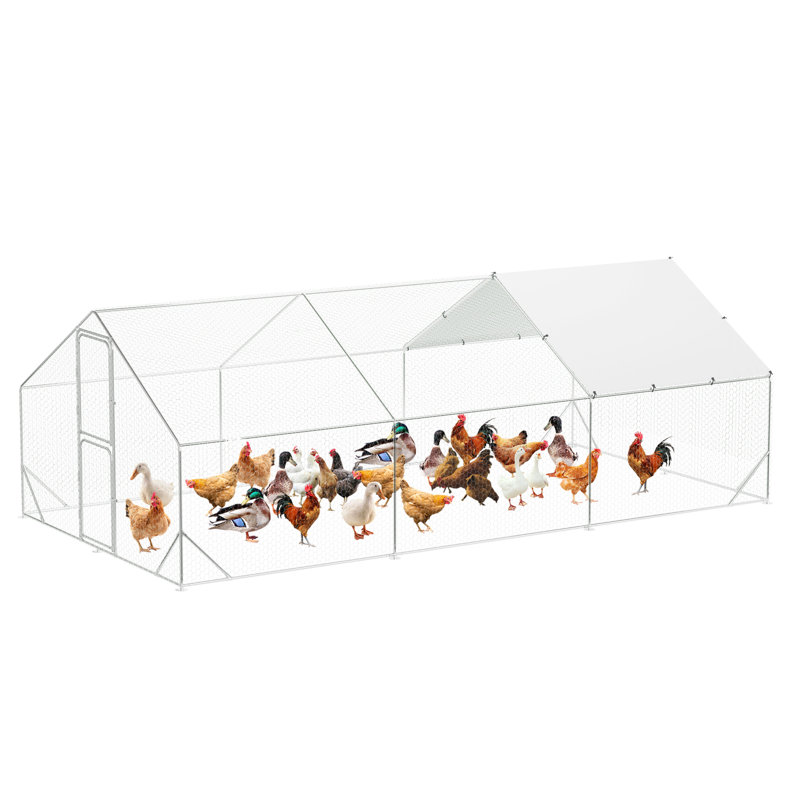 11.95m² Chicken Run, 201.17cm H x 298.7cm W x 600.76cm D