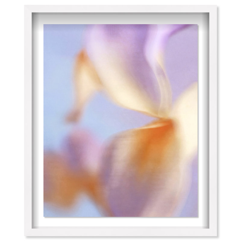 Blurred Venus Shadowbox Abstract Print by Oliver Gal, Black Frame, 16 x 20, 21.5"H x 25.5"W, White Shadowbox