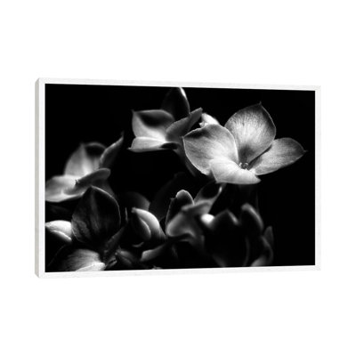 Orchid 1 Piece Wall Art on Canvas