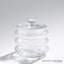 Wave Canister-Clear Seeded-Lg-696705113