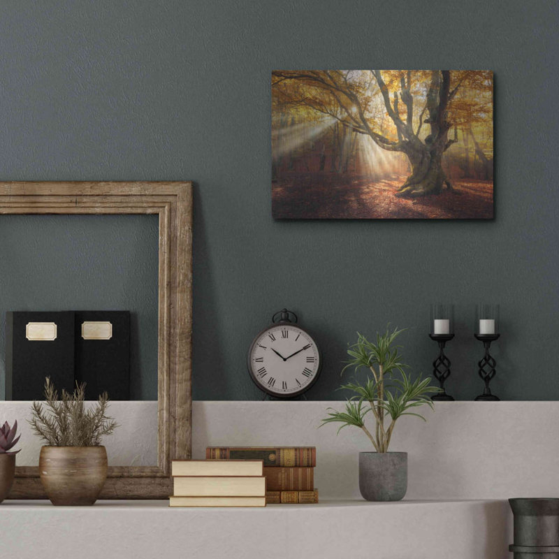 Art mural en métal «Enchanted Forest» Luxe, 16 po x 12 po, H 12 po x l 16 po