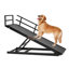 Rampe pliante en bois pour chien Almeric
