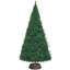 Water Hyacinth Tree Collar