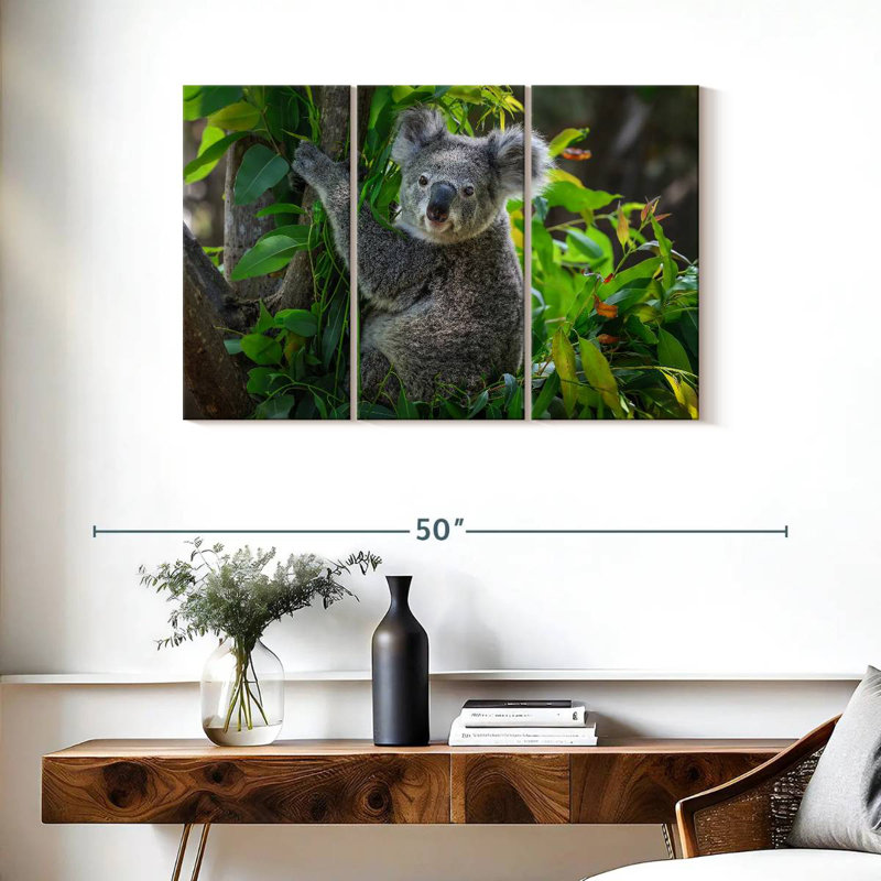 Mignon koala, H 24 po x l 38 po