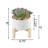 5.5'' Faux Succulent in Ceramic Pot-29552761
