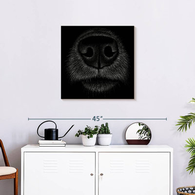 Brampt Dog Snout