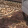 Andrews Oriental Indoor Rug