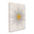 Wrapped Canvas is unavailable