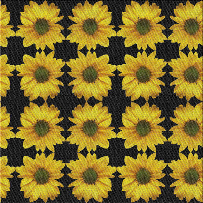 Floral Indoor Rug