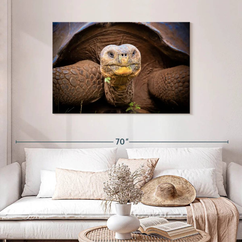 Brampt Galapagos Tortoise, 30" H x 45" W