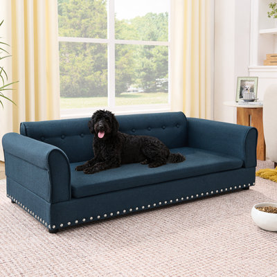 Oversized Pet In Dark Blue, Elegant Modern Design, And Armrest For Big Pets, Short Legs Stability Comfort