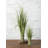 35 " H Faux Grass