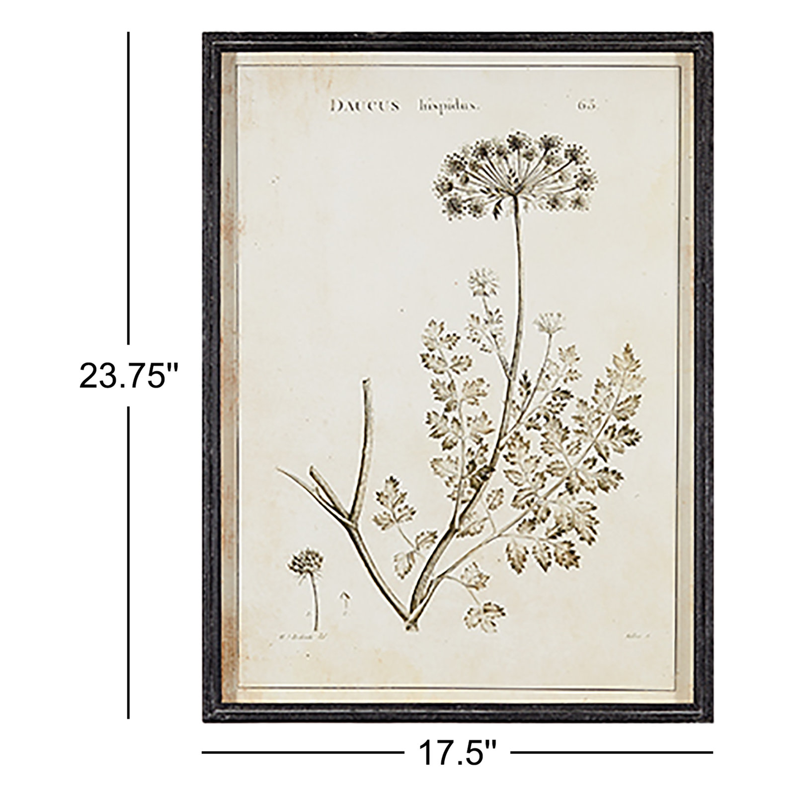 Bridgeton "Wild Flower" 6-Piece Print Set