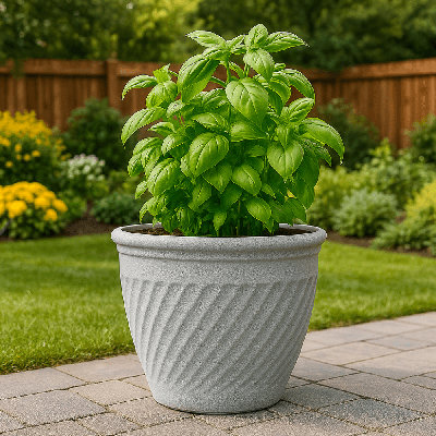 Pot Planter